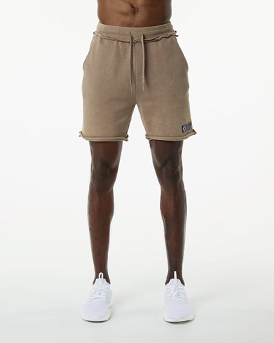 Alphalete Heavyweight Washed Terry Krátké Smokey Quartz | 56021RUMA
