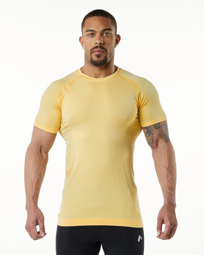 Alphalete High Performance Seamless Krátké Sleeve Tee Faded Honey | 12540DHCK