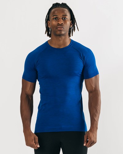 Alphalete High Performance Seamless Krátké Sleeve Tee Blankyt | 40573RPNE