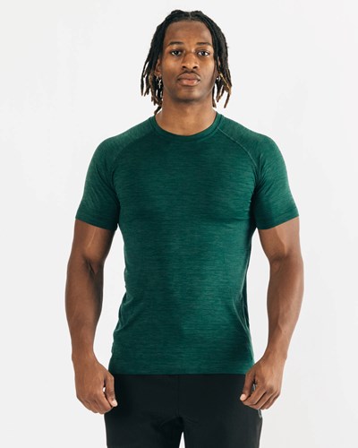 Alphalete High Performance Seamless Krátké Sleeve Tee Darkest Pine | 75463TYJE