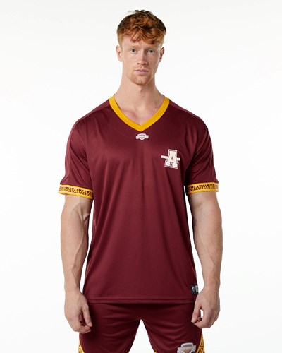 Alphalete Oversized Krátké Sleeve Jersey Crimson | 17960BPGE